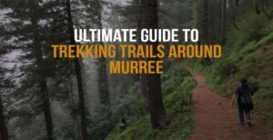 Ultimate Guide to Trekking Trails Around Murree