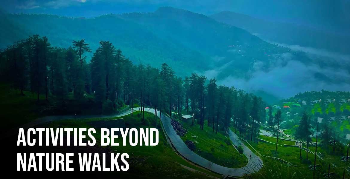 Activities Beyond Nature Walks