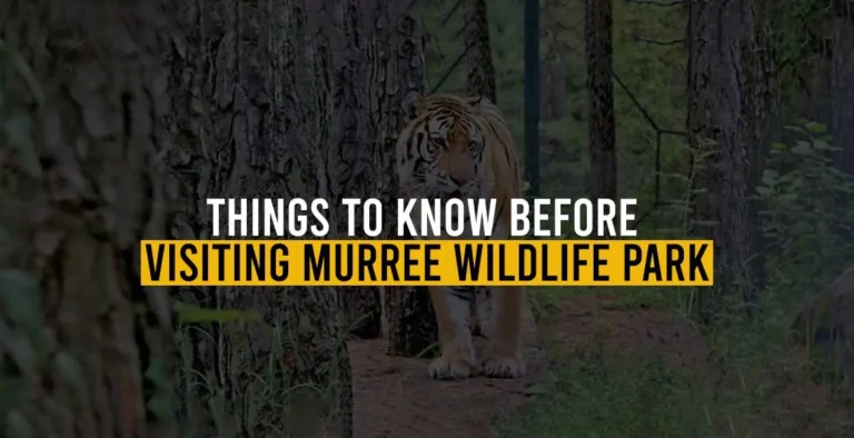 Things to Know Before Visiting Murree Wildlife Park