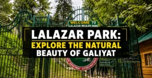 Lalazar Park: Explore the Natural Beauty of Galiyat