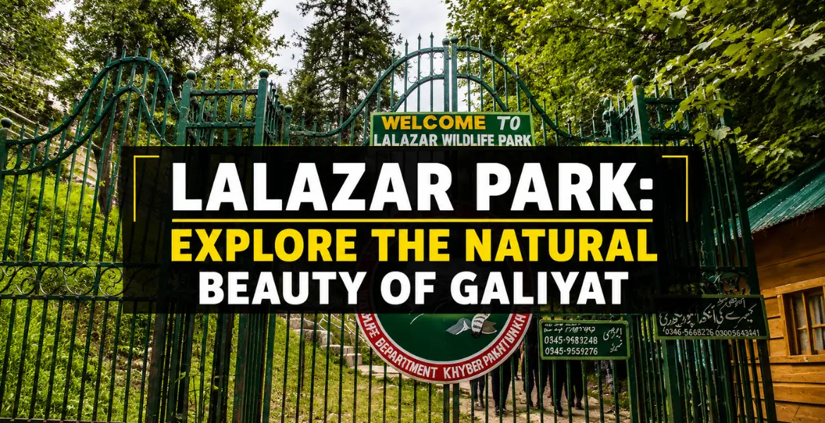 Lalazar Park: Explore the Natural Beauty of Galiyat